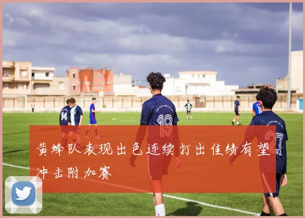 黄蜂队表现出色连续打出佳绩有望冲击附加赛